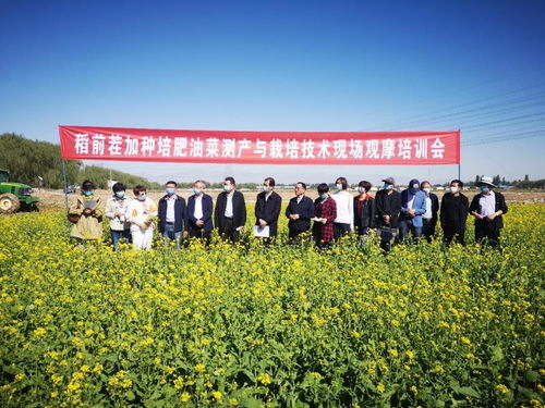 飼料綠肥油菜種植加工綜合利用關(guān)鍵技術(shù)研究與示范現(xiàn)場(chǎng)觀摩會(huì)成功舉辦，助推種植技術(shù)開發(fā)與集成應(yīng)用