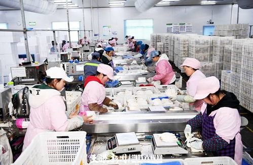 日產(chǎn)量達(dá)70噸，產(chǎn)值60余萬(wàn)元 工廠化種植食用菌助農(nóng)增收的技術(shù)開發(fā)與實(shí)踐