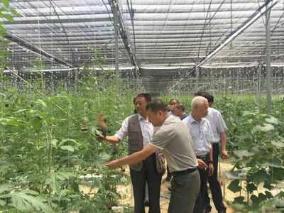 袁文先將軍深入三明調研，為扶貧改革與種植技術發展注入新動能